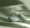 1945 Light Green : une promenade dans les champs de thé d'Uji