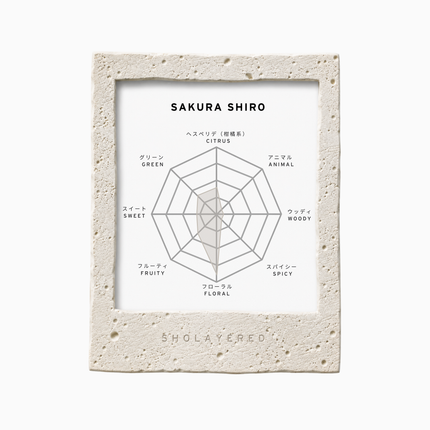 SAKURA SHIRO | Eau de Parfum