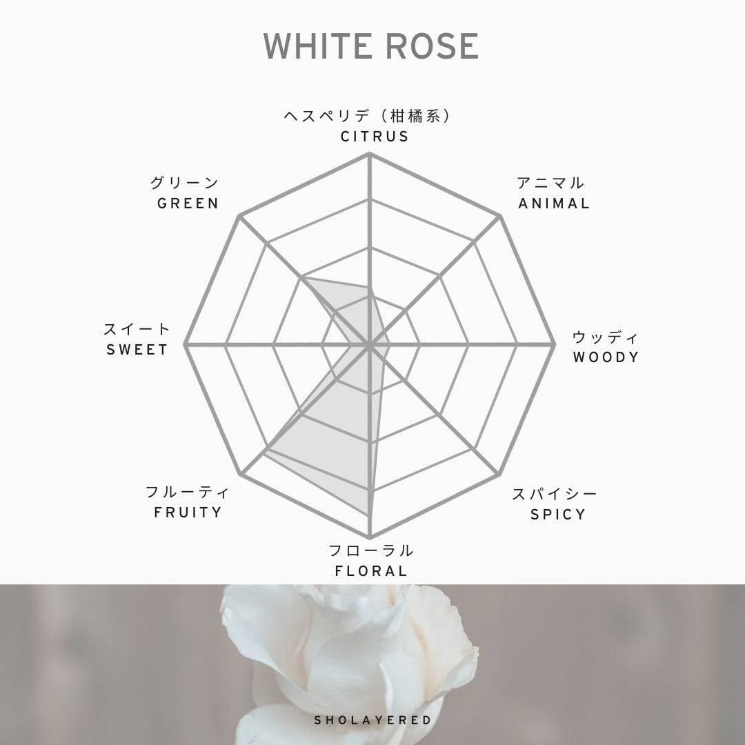 Profil olfactif White Rose.